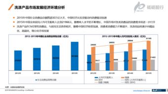 2016年中国洗涤产品行业发展调研项目中的法律咨询与服务 合规经营与风险防控